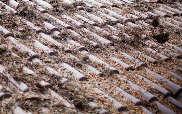 Burnhouse roof cleaning companies